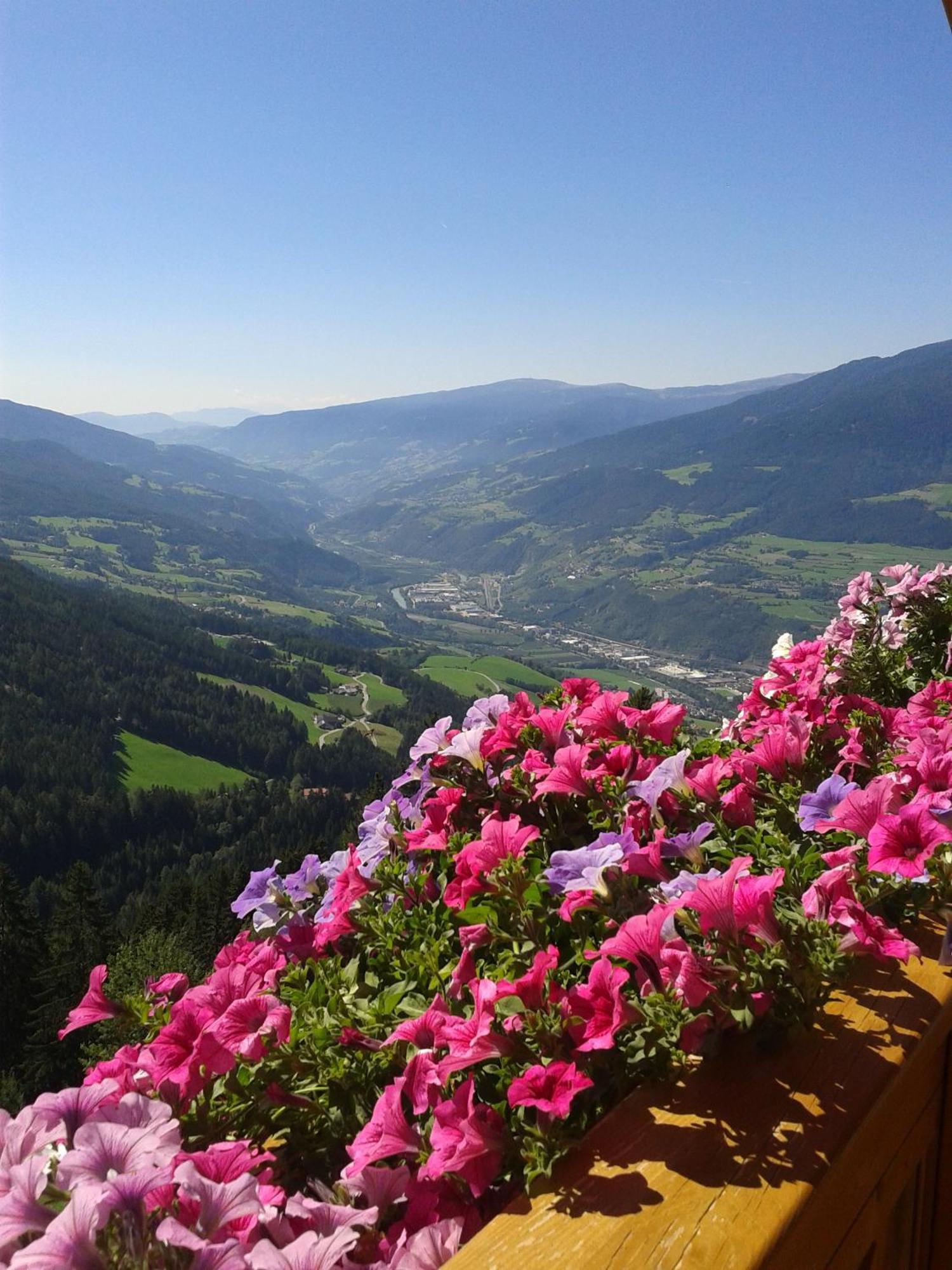 Kaserhof Wandern- Alleinlage - Ruhig- Top Aussicht Bressanone Eksteriør bilde